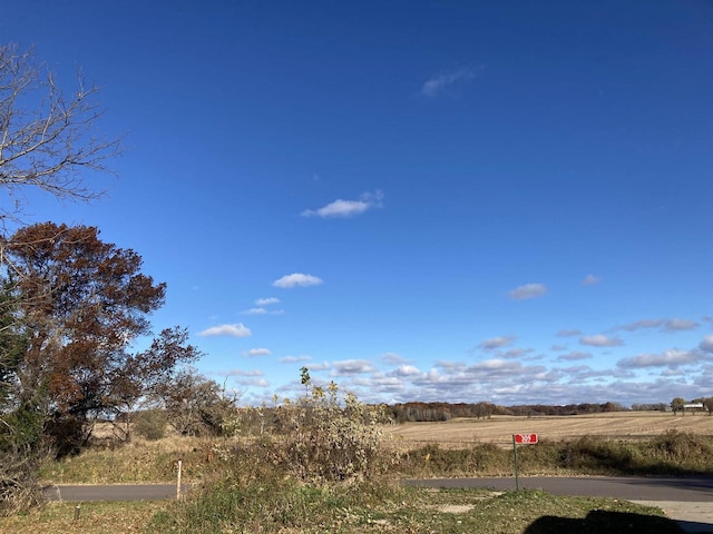 view of yard featuring a rural view