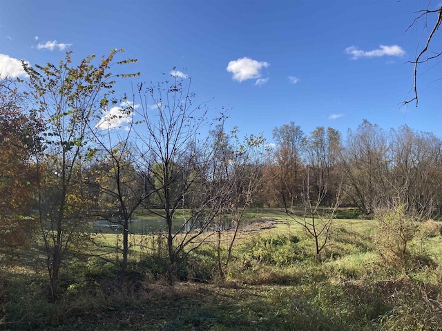 view of landscape