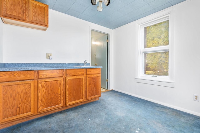 kitchen featuring crown molding, carpet flooring, and sink