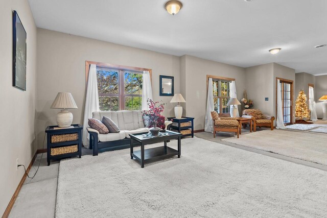 carpeted living room with a wealth of natural light