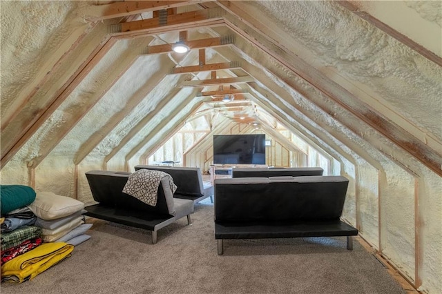 view of attic