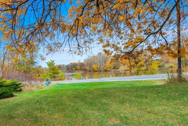 view of yard with a water view