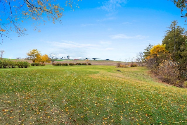 view of yard featuring a rural view