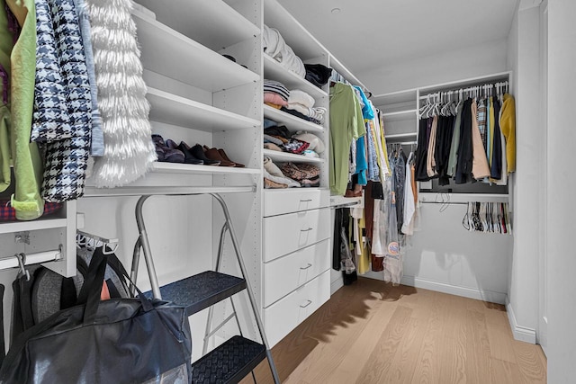 spacious closet with light wood-type flooring