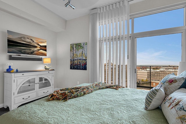 bedroom featuring multiple windows and access to outside