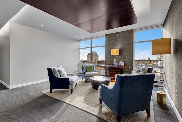 carpeted living room featuring expansive windows