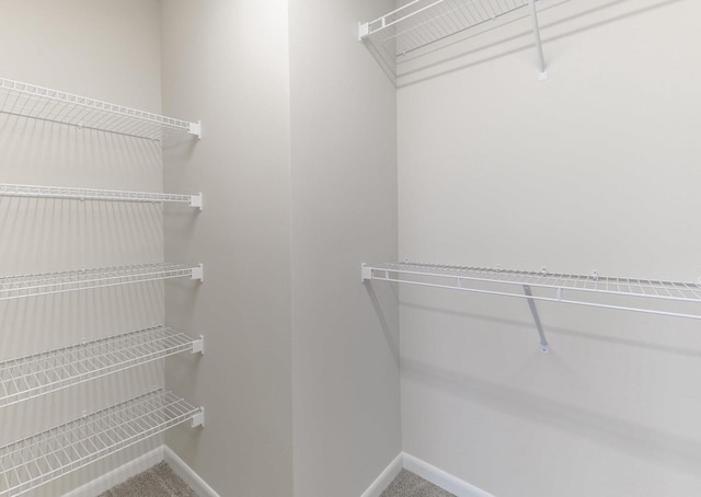 spacious closet with carpet flooring