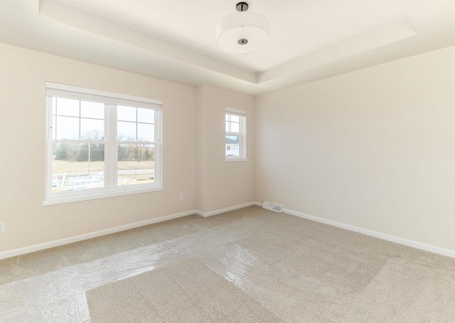 spare room with a raised ceiling and carpet