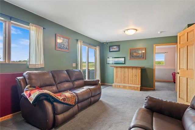 living room with carpet