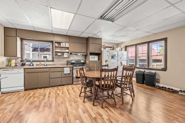 dining room with sink, light hardwood / wood-style flooring, and a paneled ceiling