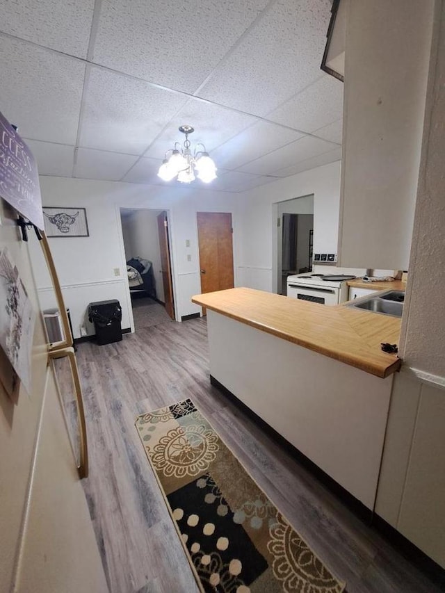 kitchen featuring a paneled ceiling, white stove, sink, wood-type flooring, and a chandelier