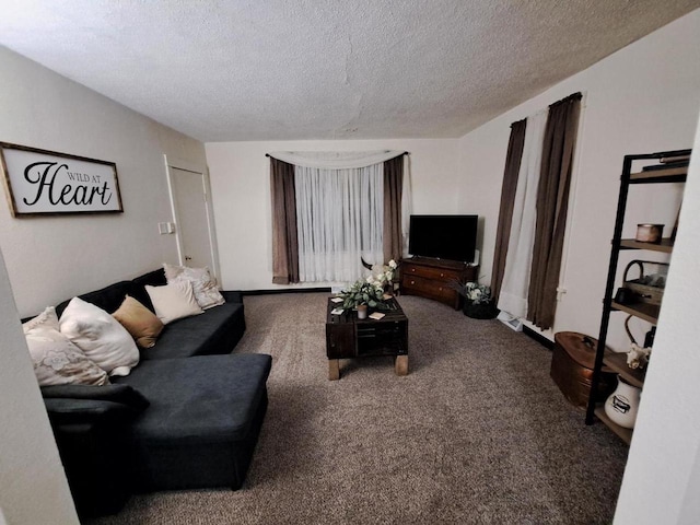 carpeted living room with a textured ceiling