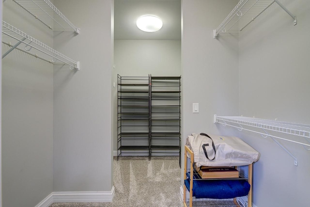 spacious closet with carpet floors