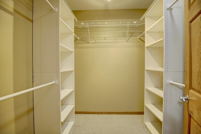 spacious closet with light colored carpet