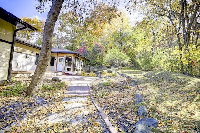 view of yard with a patio area