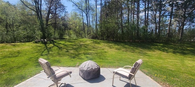 view of yard with a patio area