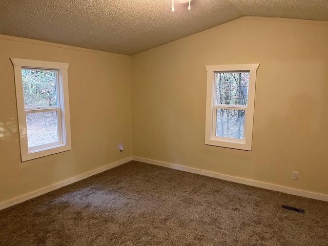 carpeted empty room featuring a textured ceiling, vaulted ceiling, and a wealth of natural light