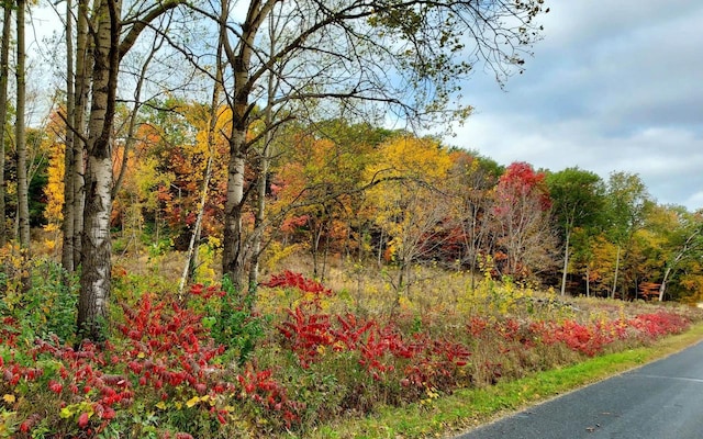 N2527 Carpenter Rd, Mauston WI, 53948 land for sale