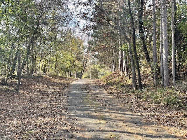 view of road