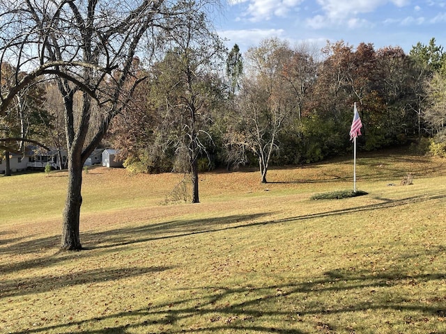 view of property's community featuring a yard