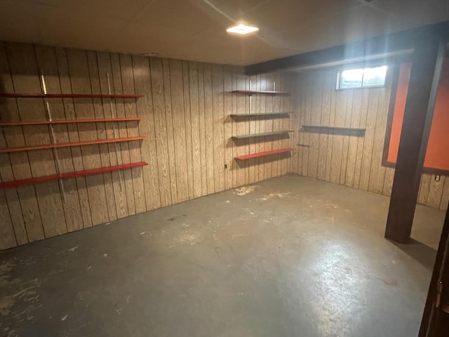 basement with wood walls