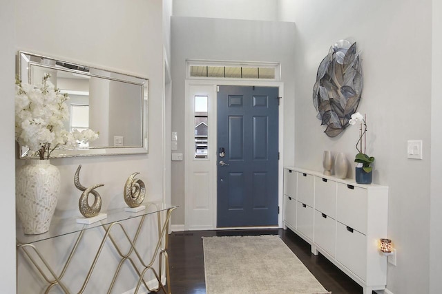 foyer entrance featuring plenty of natural light and dark hardwood / wood-style flooring