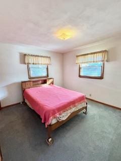 carpeted bedroom with multiple windows