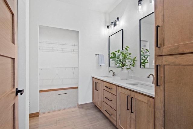 bathroom featuring a sink, a walk in closet, double vanity, and wood finished floors