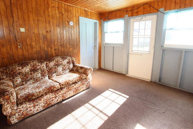 carpeted living room featuring wood walls and wooden ceiling