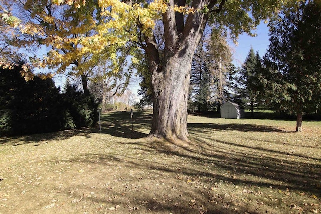 view of yard featuring an outbuilding and a storage unit