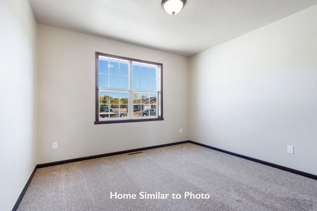 spare room with carpet floors