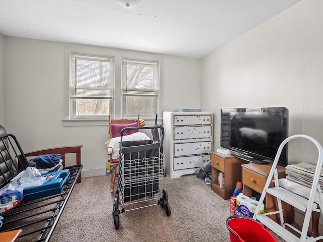 interior space featuring carpet flooring