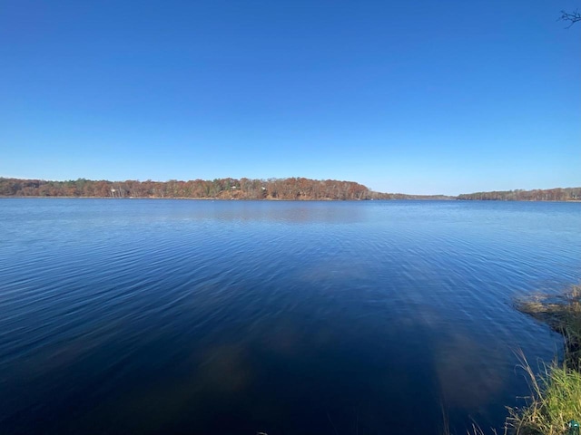 view of water feature