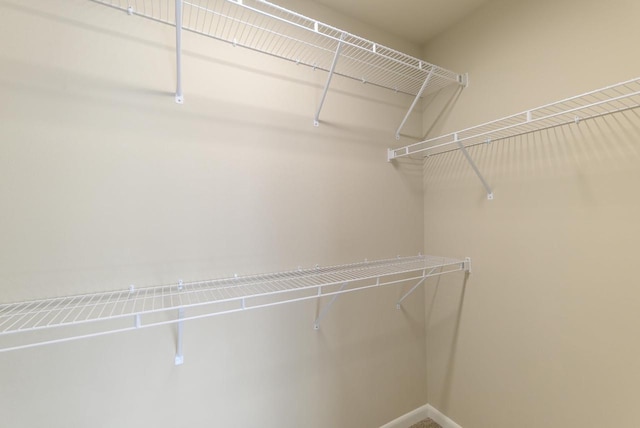 view of walk in closet