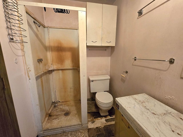 bathroom with vanity, a shower, and toilet