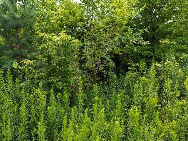 000 Dunn St, Colfax, WI 54730