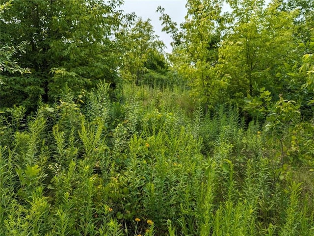 000 Dunn St, Colfax, WI 54730
