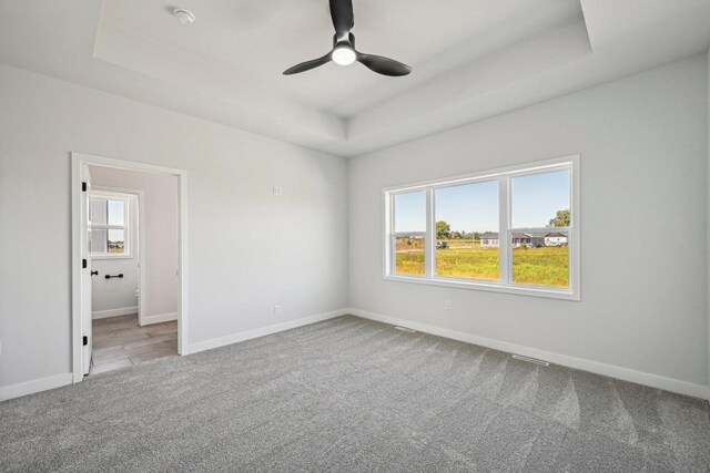 carpeted empty room with a healthy amount of sunlight and a raised ceiling