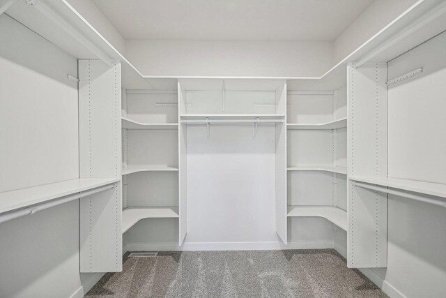 spacious closet featuring carpet floors