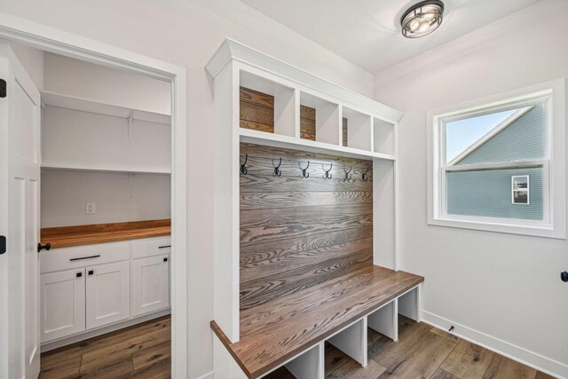 mudroom featuring wood-type flooring