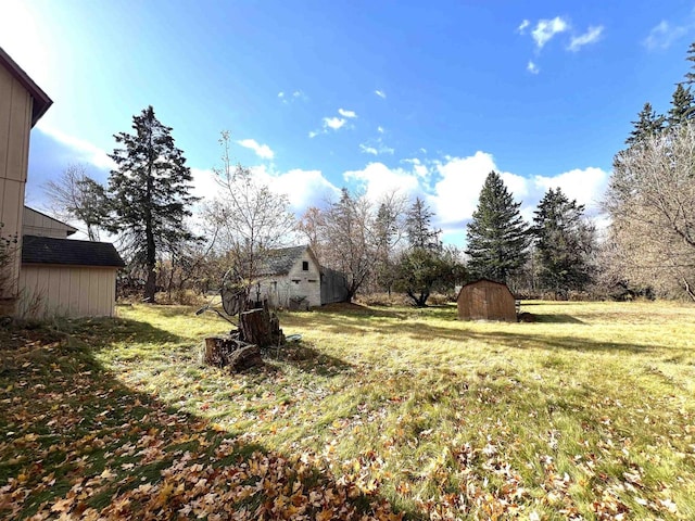 view of yard featuring a shed