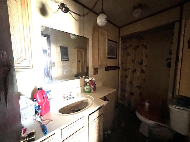 bathroom with vanity and toilet