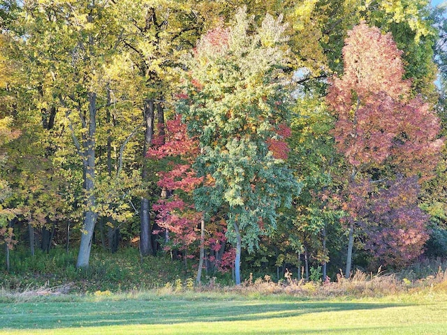 3347 Indigo Bluff Ct, Green Bay, WI 54311