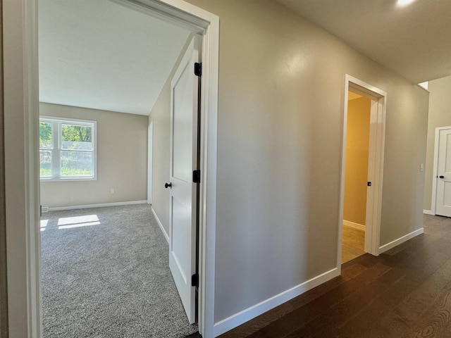 corridor featuring dark hardwood / wood-style flooring