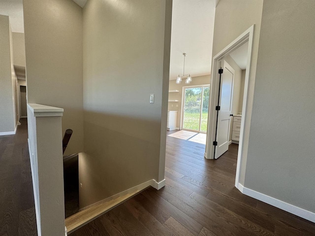 corridor featuring a notable chandelier and dark hardwood / wood-style flooring