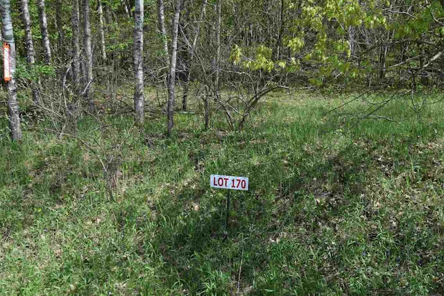 LT170 Black Forest Dr, La Valle WI, 53941 land for sale