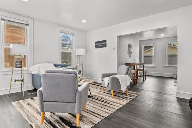 living room with dark hardwood / wood-style floors