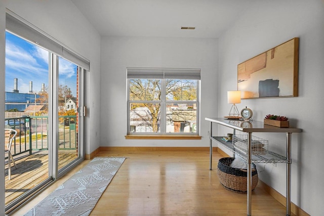 entryway featuring light hardwood / wood-style flooring and plenty of natural light