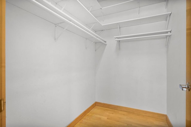 walk in closet featuring hardwood / wood-style floors