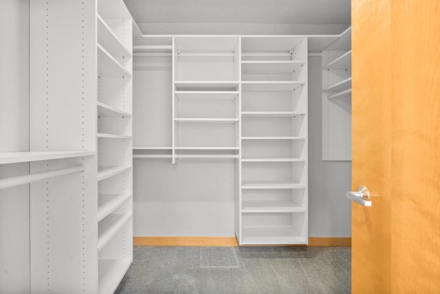 spacious closet featuring carpet